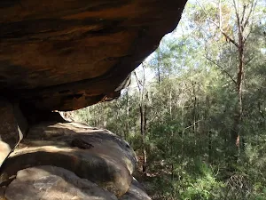 Cherrybrook to Thornleigh