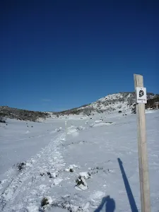 Rock Creek snowshoe pole line