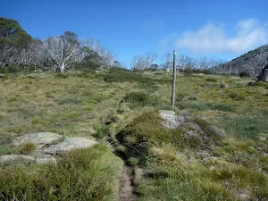 Walking up the Porcupine track near Perisher Valley Reservoir