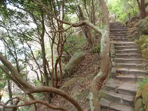 Manly Scenic Walkway