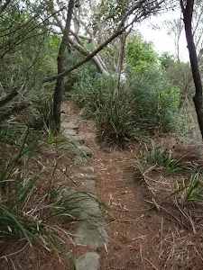 Track down to concrete bunker