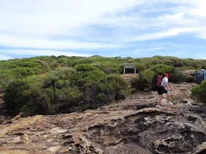 Track over rock surface