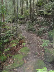Track down towards Clarinda Falls