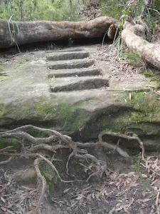Rock cut steps