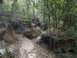 Track on valley side