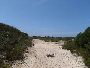 Track above Marley Track