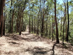 Sid Pulsford trail