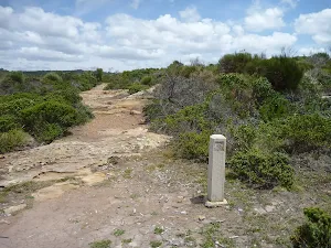 Rocky track with timber track marker in the Wallarah Pennisula 