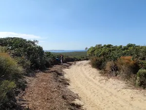 View down the trail to the ocean