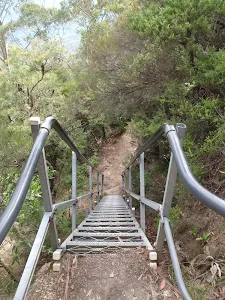 Staircase on Gordon Falls Lookout track