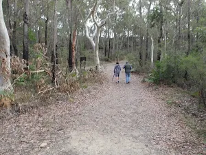 Walkers on the trail
