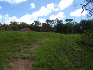 Track near Seaforth Oval
