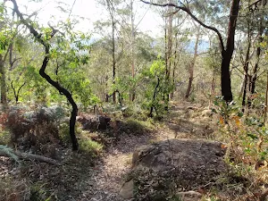 Walking in Rumbalara