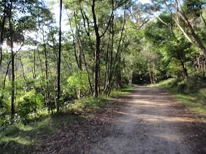 Lady Carrington Drive with a glimpse of the Hacking River