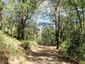 Pleasant walking