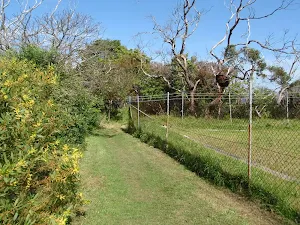 Track around fence