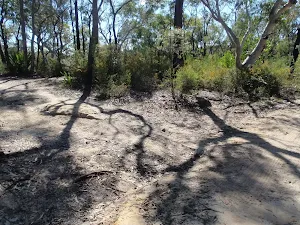Int Wrights Creek trail and OGNR