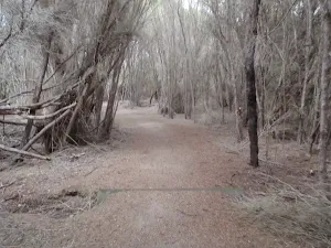 Track to Bournda Lagoon