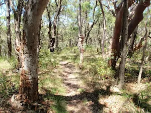 Walking along the ridge