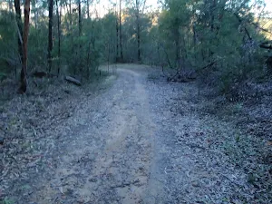 Trail to Ironbarks Picnic Area