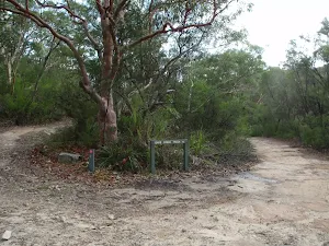 Int of Bare Creek and Cascades service trails