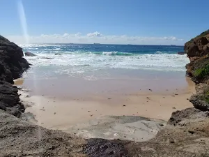 Timber Beach