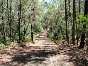 walking along trail west of lookout