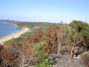 Putty Beach from Jacqueline Ave lookout