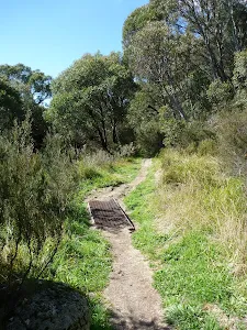 Pipeline Path