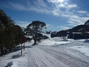 Walking along Wheatley Rd