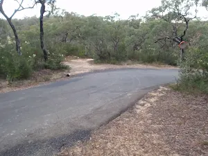 Crossing Jellybean Pool Road