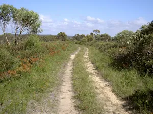 Mount Bass service trail