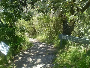 Lookout down Lady Darley Lookout track