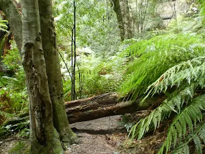 Blue Mountains (Lithgow)