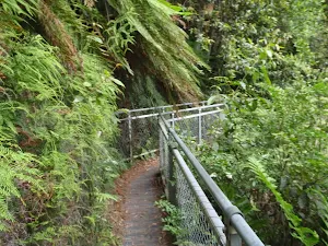 Short walkways in Blue Mountains NP