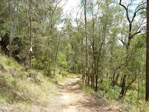Turners Road east of Watagan Creek campsite