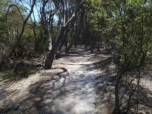Track to Ocean Beaches car park
