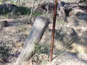 Old fence post