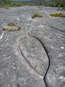 Aboriginal Rock Engraving close to West Head Rd.  