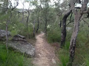 Heading towards Jellybean pool