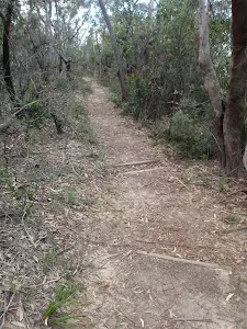 Track near Gladstone Rd
