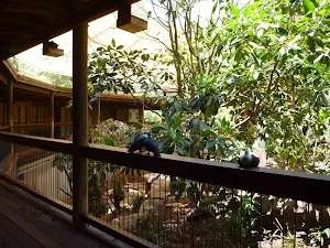 Inside the large wildlife avairy in the Wildlife Exhibits at Blackbutt Reserve