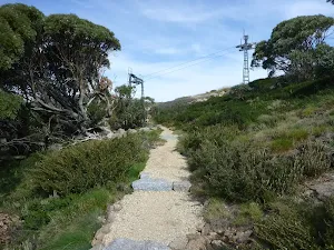 Looking to Pulpit Tbar