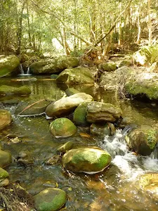 Leura Falls Creek
