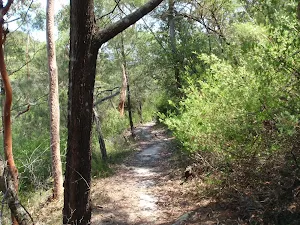 The Sphinx Track