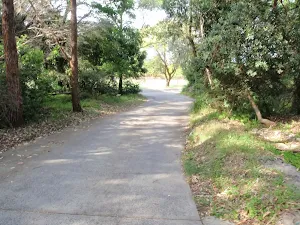 NPWS Workshop Driveway