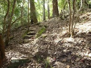 Steep track north of Wollombi Brook Pool