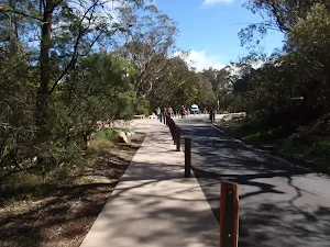 Footpath beside Sir H. Burrell Drive