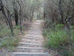 Stepped track