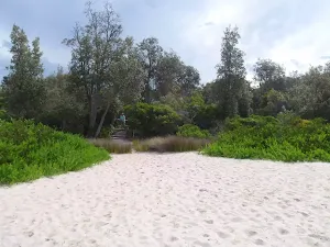 Back of Saltwater Creek Beach